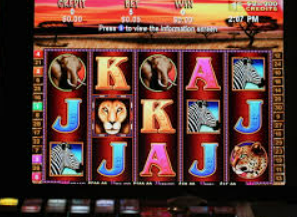 金女王模拟器(无限金币)